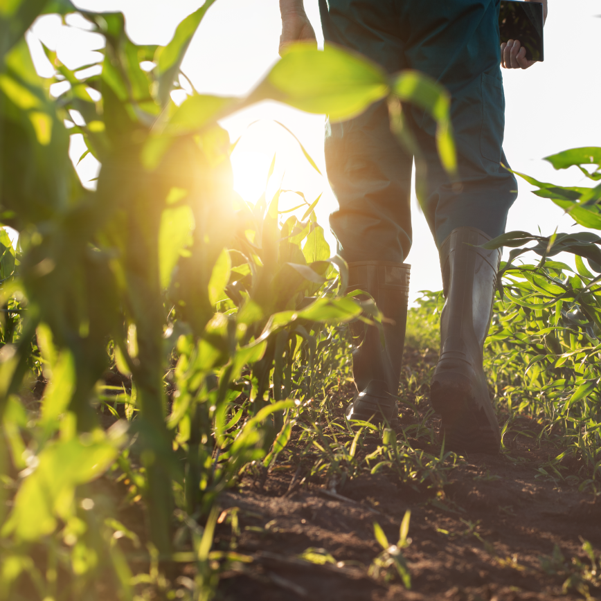 Agriculture Storytelling